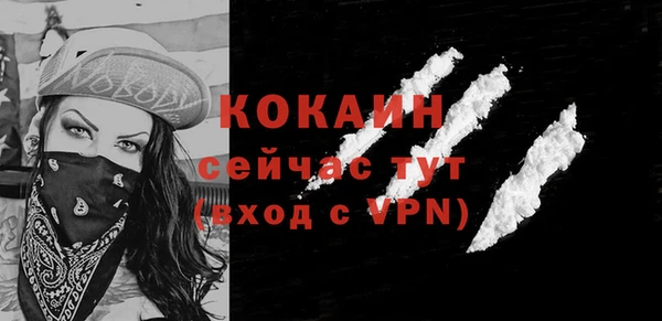 ешки Няндома