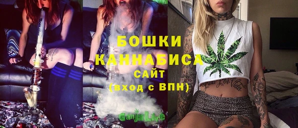 PSILOCYBIN Нягань