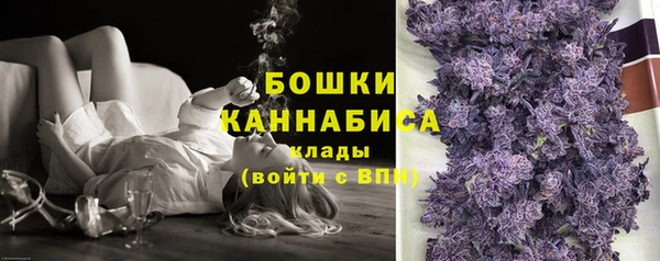 PSILOCYBIN Нягань