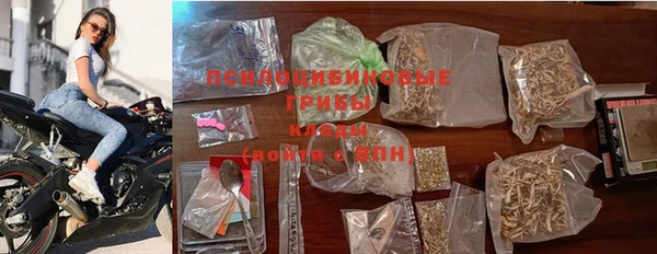ешки Няндома