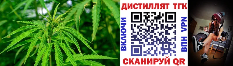 Купить где  Нововоронеж  ТГК гашишное масло 
